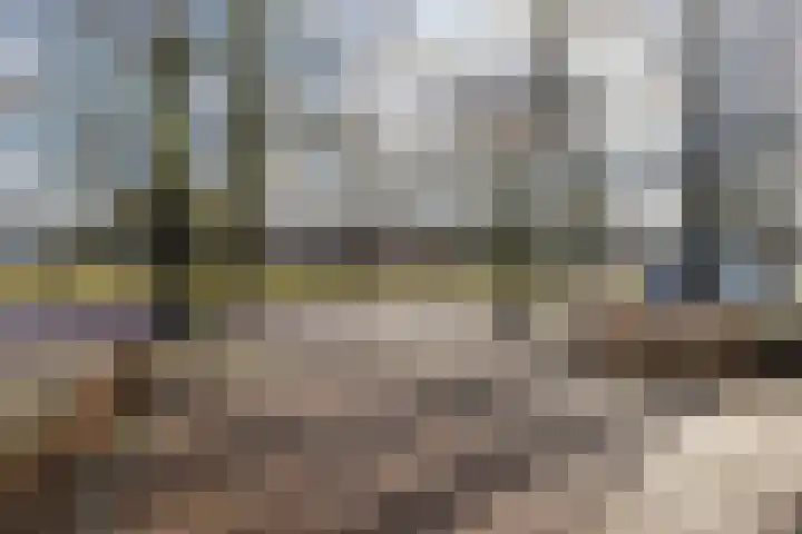 Laagstraat 91 Rijen thumbnail 48
