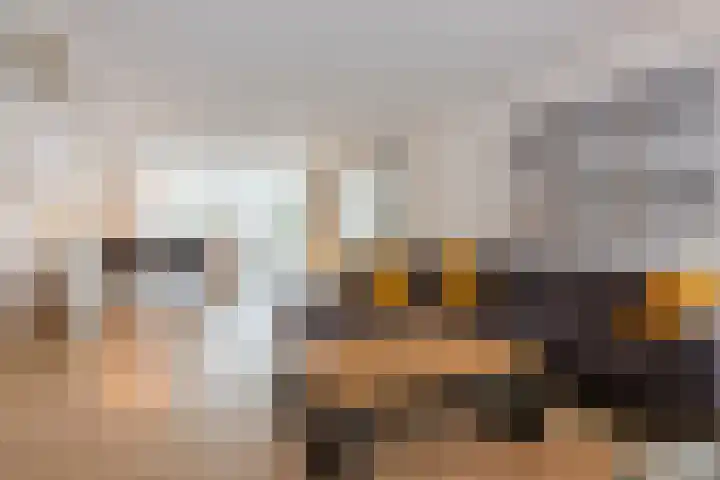 Laagstraat 91 Rijen thumbnail 6