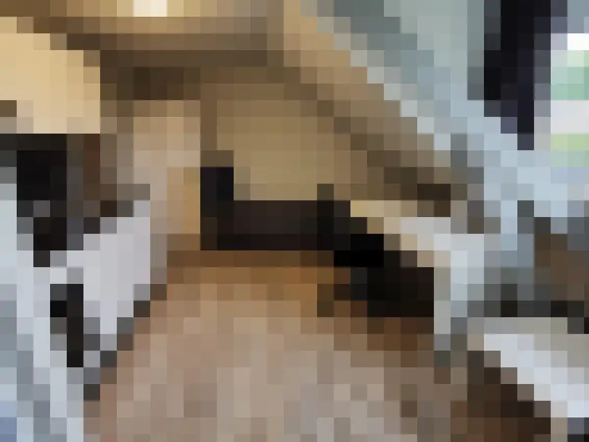 Laagstraat Eindhoven