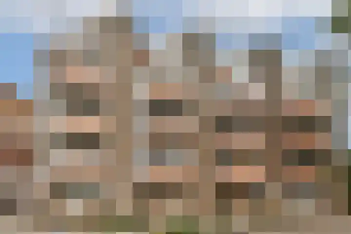 Laagte Kadijk 117 Amsterdam thumbnail 13