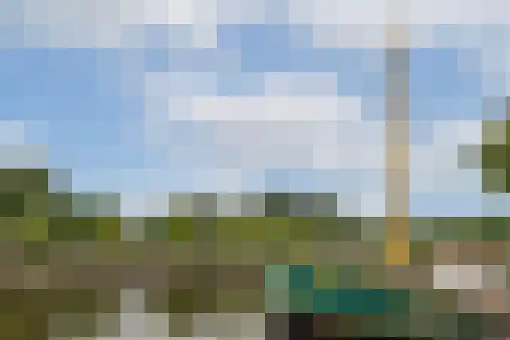 Laagte Kadijk 117 Amsterdam thumbnail 16