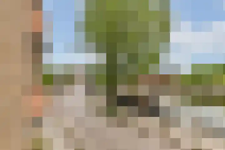 Laagte Kadijk 117 Amsterdam thumbnail 7