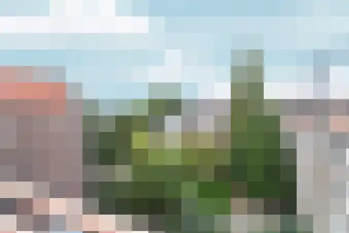 Laagte Kadijk 124 Amsterdam thumbnail 11