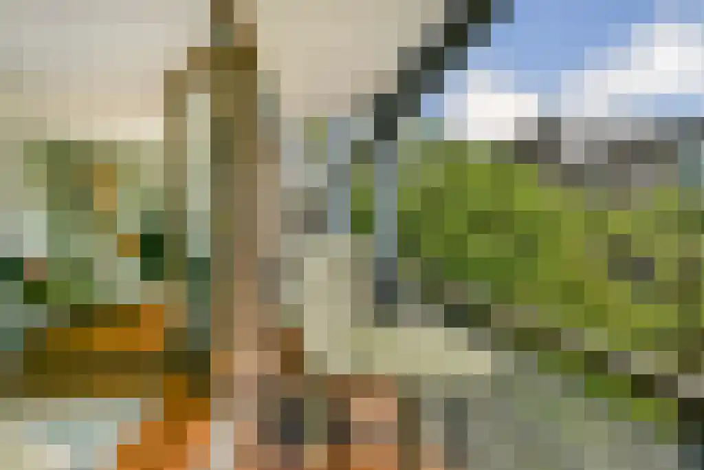 Laagte Kadijk 17 Amsterdam thumbnail 5