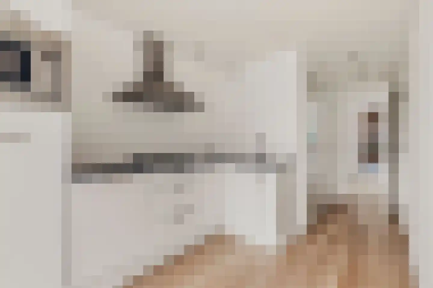 Laagte Kadijk 3 B Amsterdam thumbnail 11