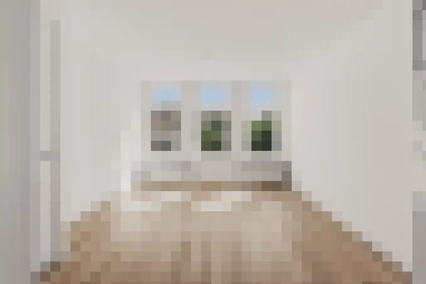 Laagte Kadijk 3 B Amsterdam thumbnail 4