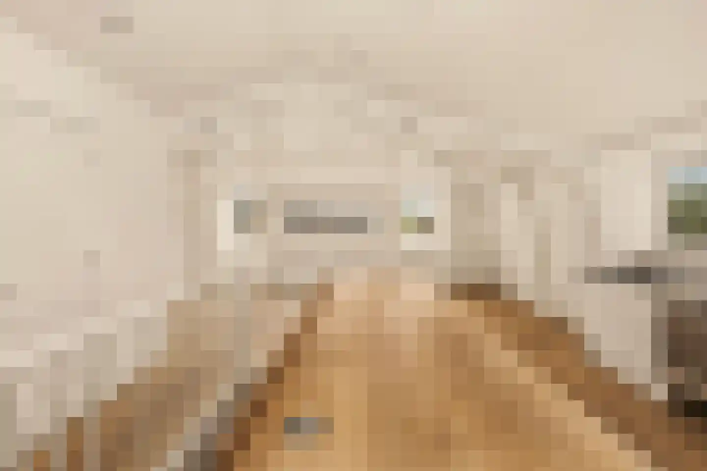 Laagte Kadijk 3 K Amsterdam thumbnail 10