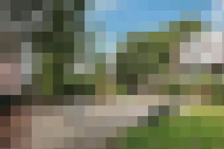 Laagte Kadijk 94 Amsterdam thumbnail 32