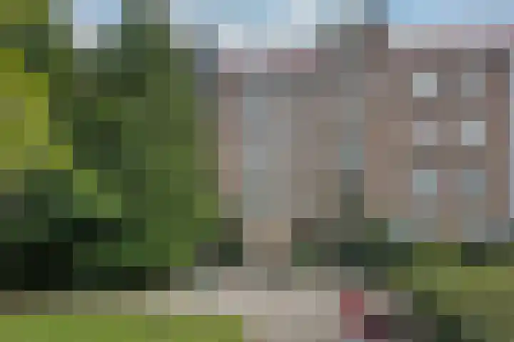 Laagte Kadijk 94 Amsterdam thumbnail 33
