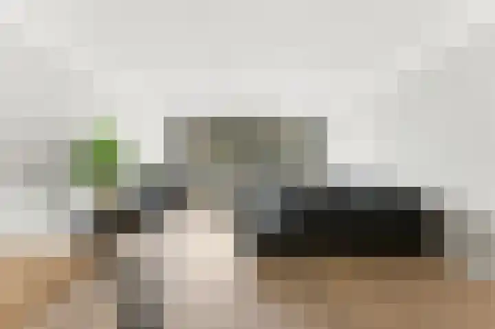 Laagveen 25 Hendrik-Ido-Ambacht thumbnail 10