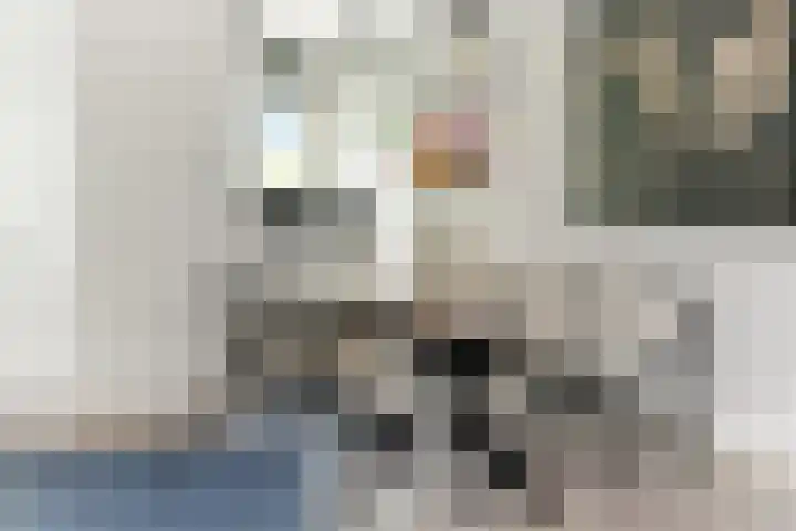 Laagveen 25 Hendrik-Ido-Ambacht thumbnail 13