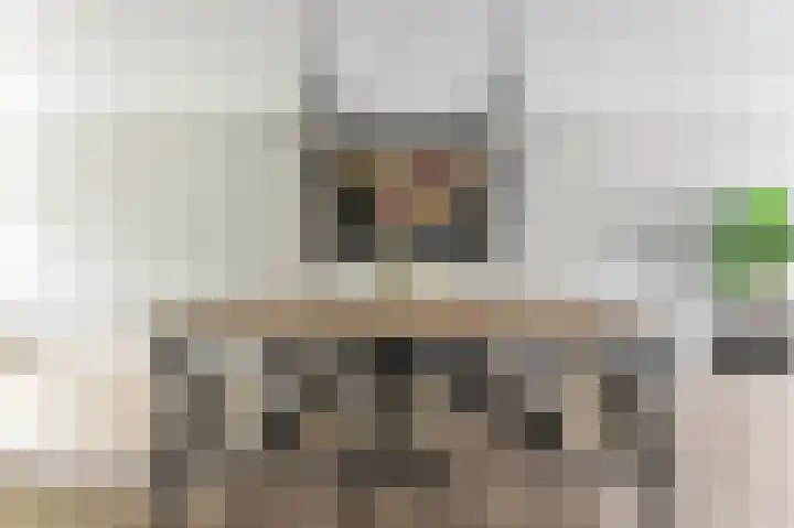 Laagveen 25 Hendrik-Ido-Ambacht thumbnail 17