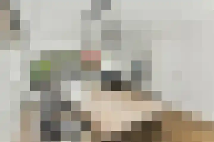 Laagveen 25 Hendrik-Ido-Ambacht thumbnail 18