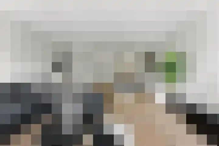 Laagveen 25 Hendrik-Ido-Ambacht thumbnail 8