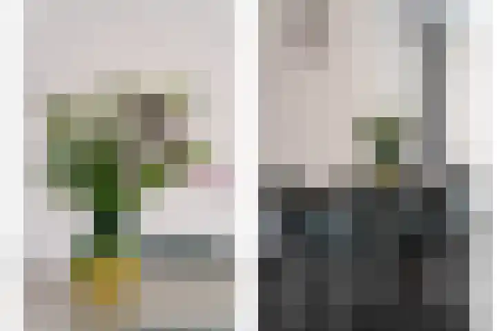 Laagveen 34 Hendrik-Ido-Ambacht thumbnail 13