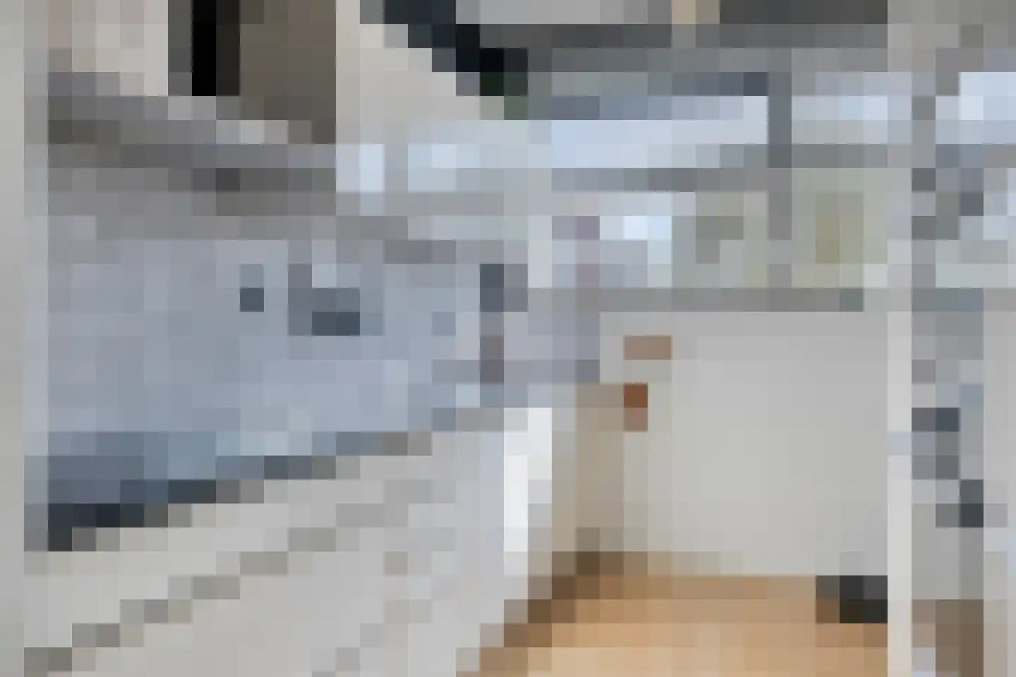 Laagveen 36 Hendrik-Ido-Ambacht thumbnail 11