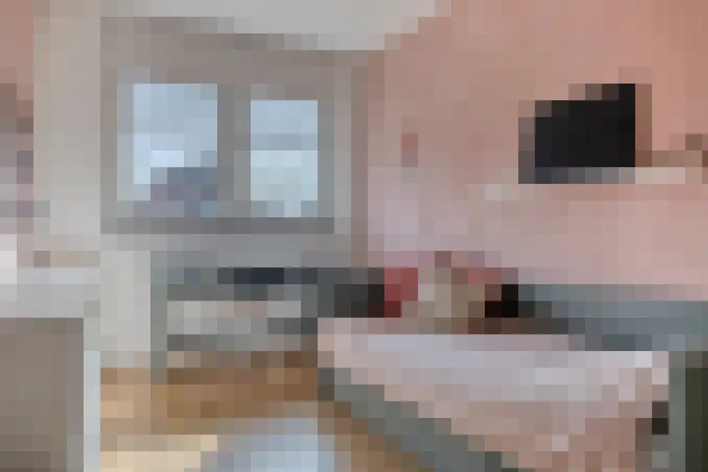 Laagveen 36 Hendrik-Ido-Ambacht thumbnail 17