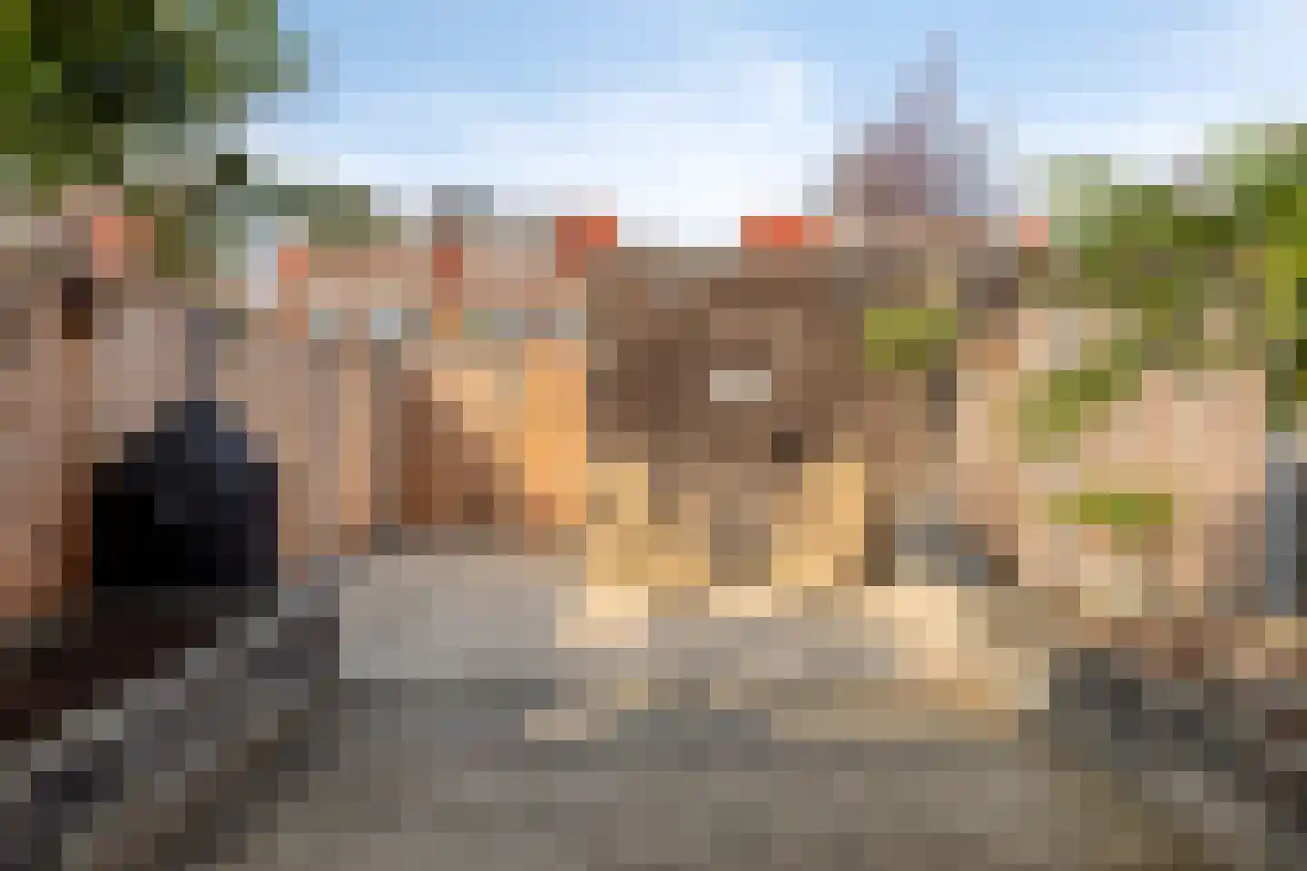 Laagveen 36 Hendrik-Ido-Ambacht thumbnail 26