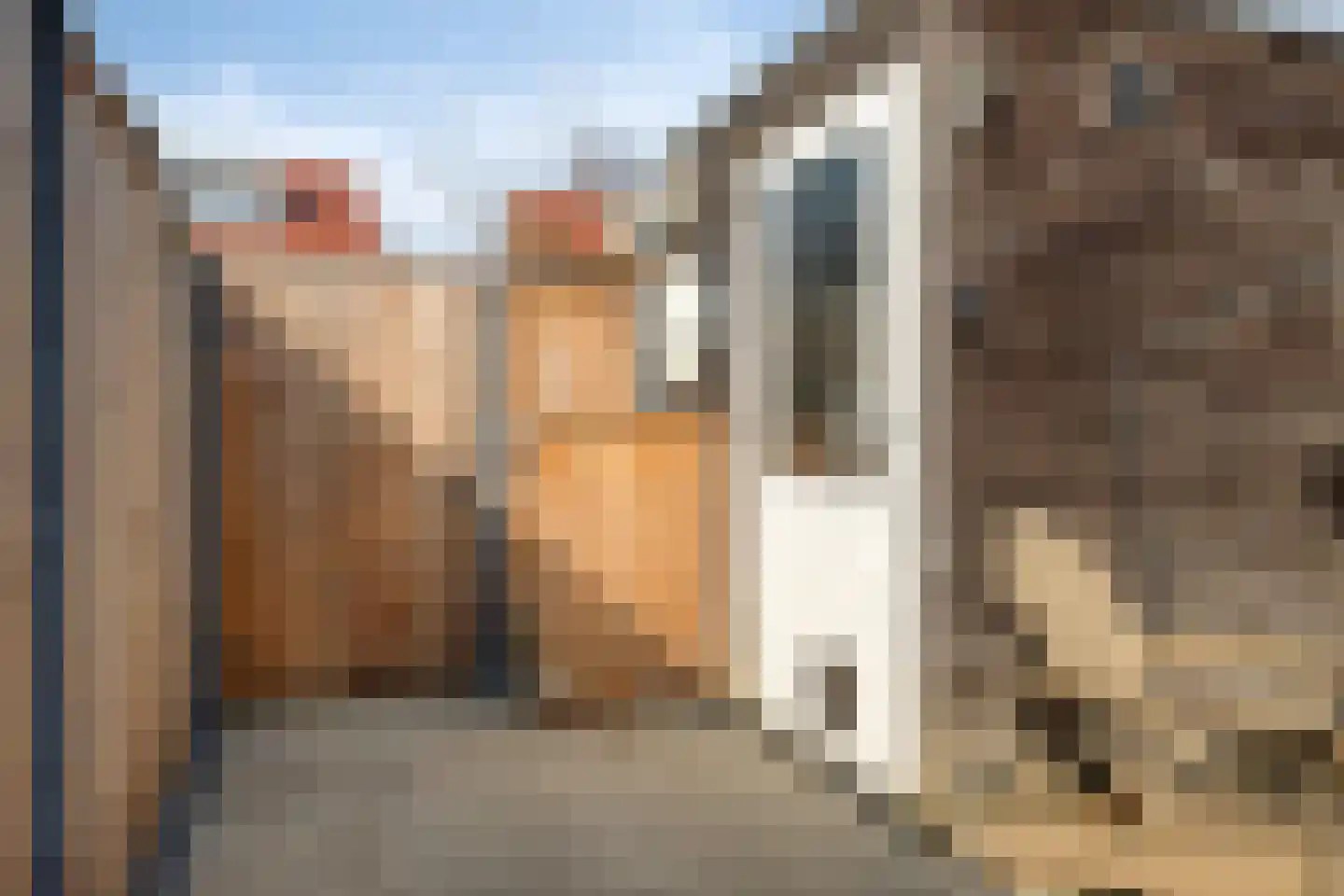 Laagveen 36 Hendrik-Ido-Ambacht thumbnail 28