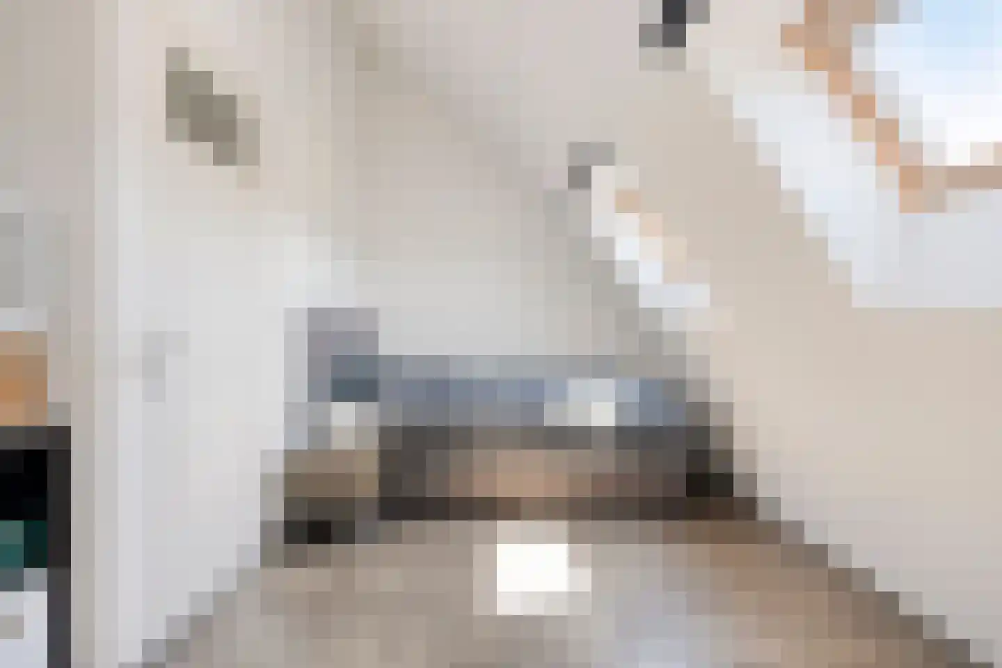 Laagveen 7 Dongen thumbnail 29