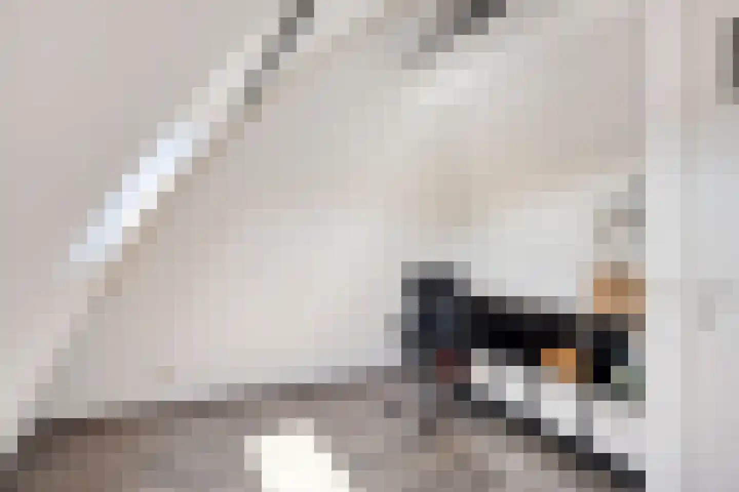 Laagveen 7 Dongen thumbnail 31