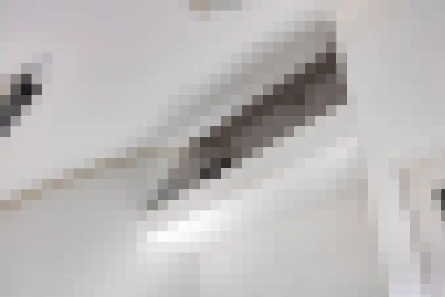 Laagveen 7 Dongen thumbnail 32