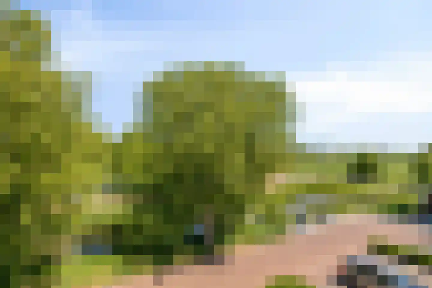 Laagveen 7 Dongen thumbnail 35