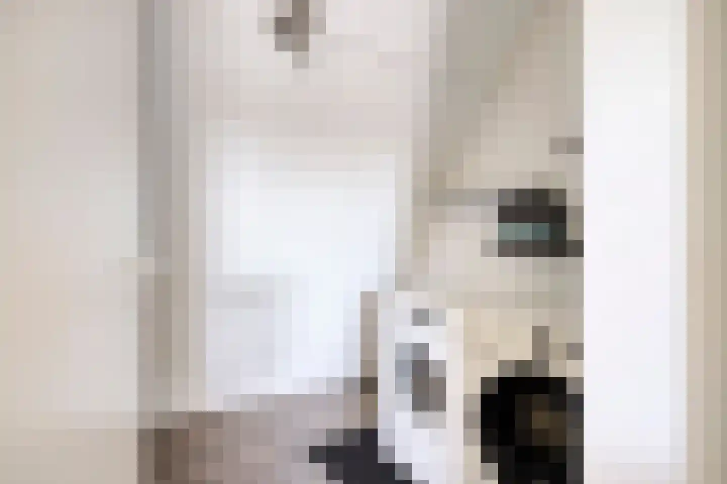 Laagveen 7 Dongen thumbnail 36