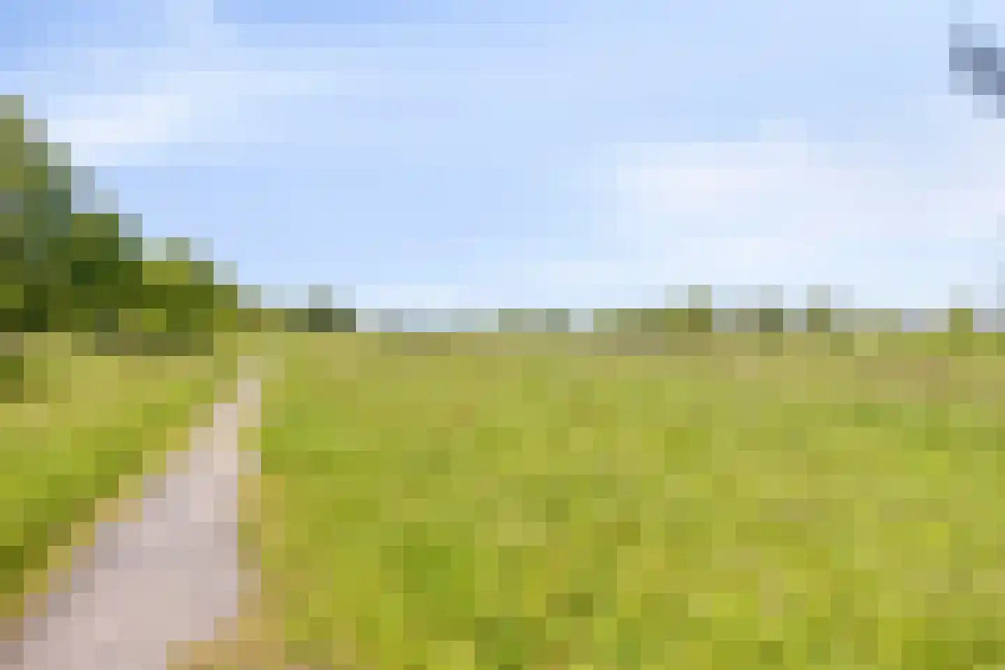 Laagveen 7 Dongen thumbnail 40