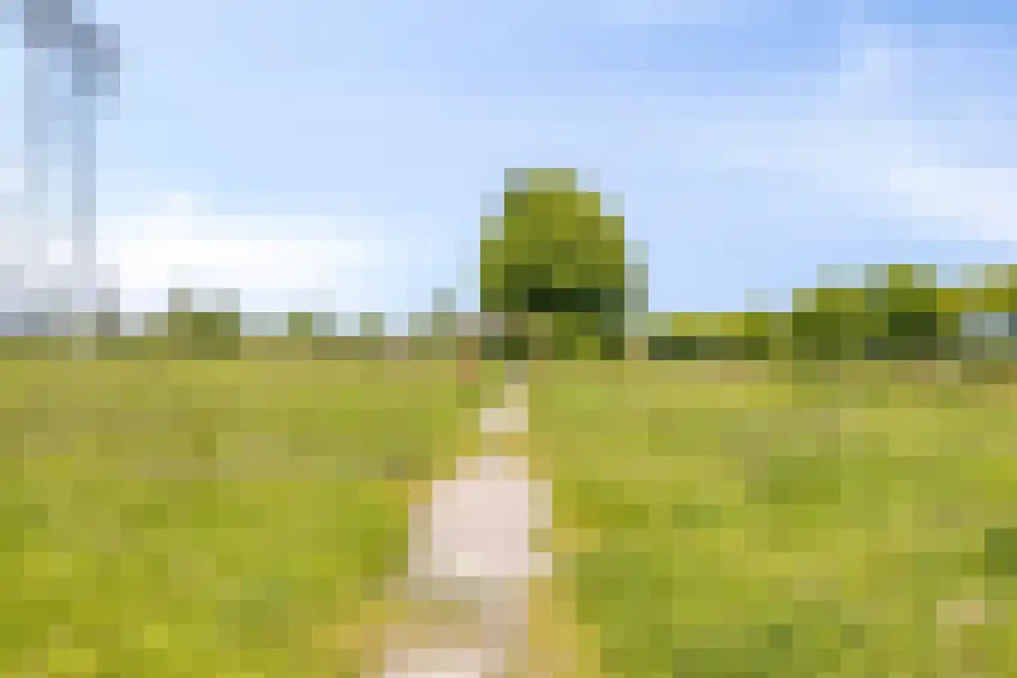 Laagveen 7 Dongen thumbnail 41