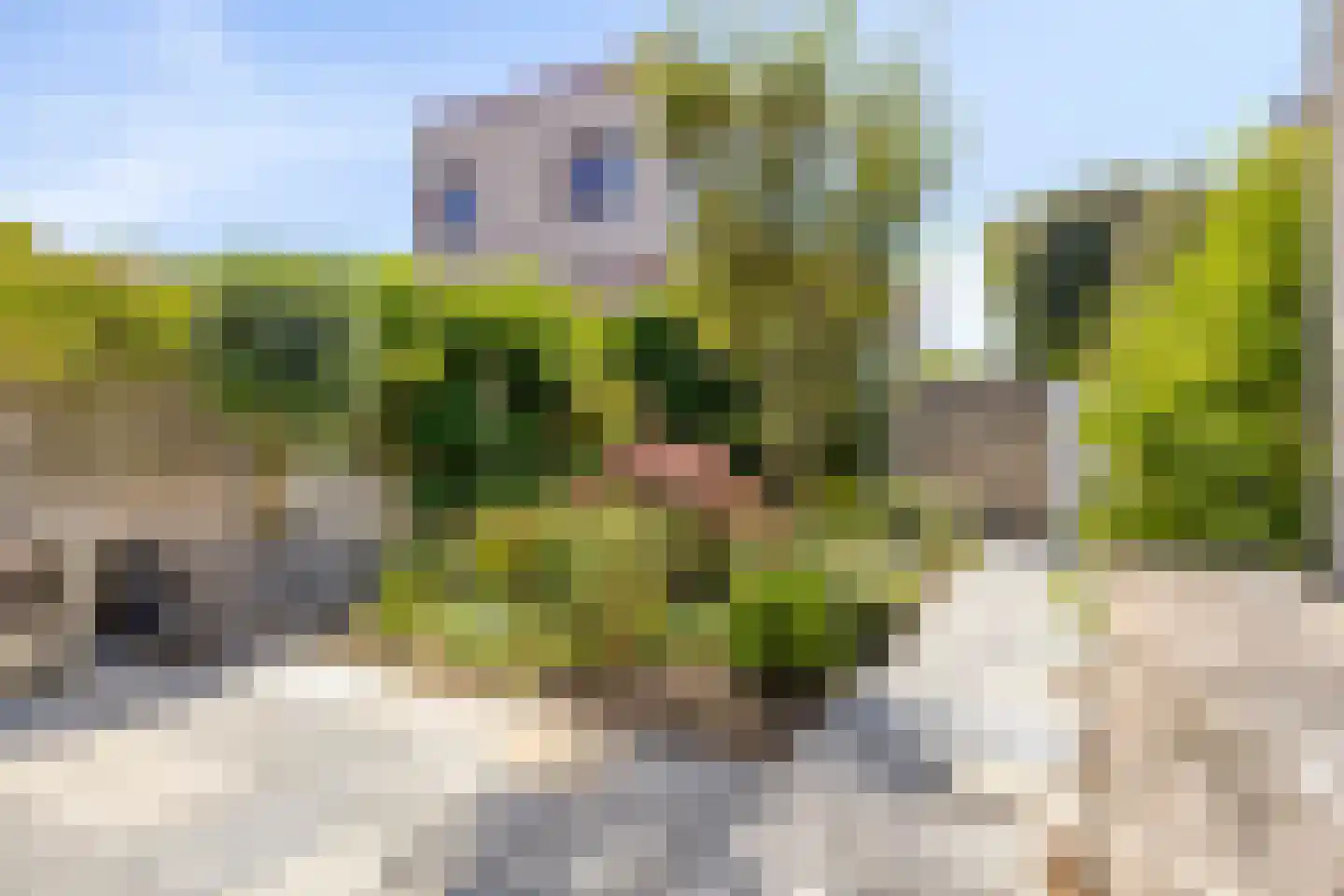 Laagveen 7 Dongen thumbnail 6