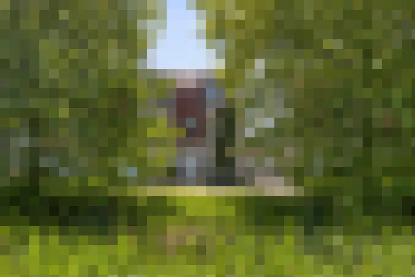 Laagveen 7 Dongen thumbnail 9
