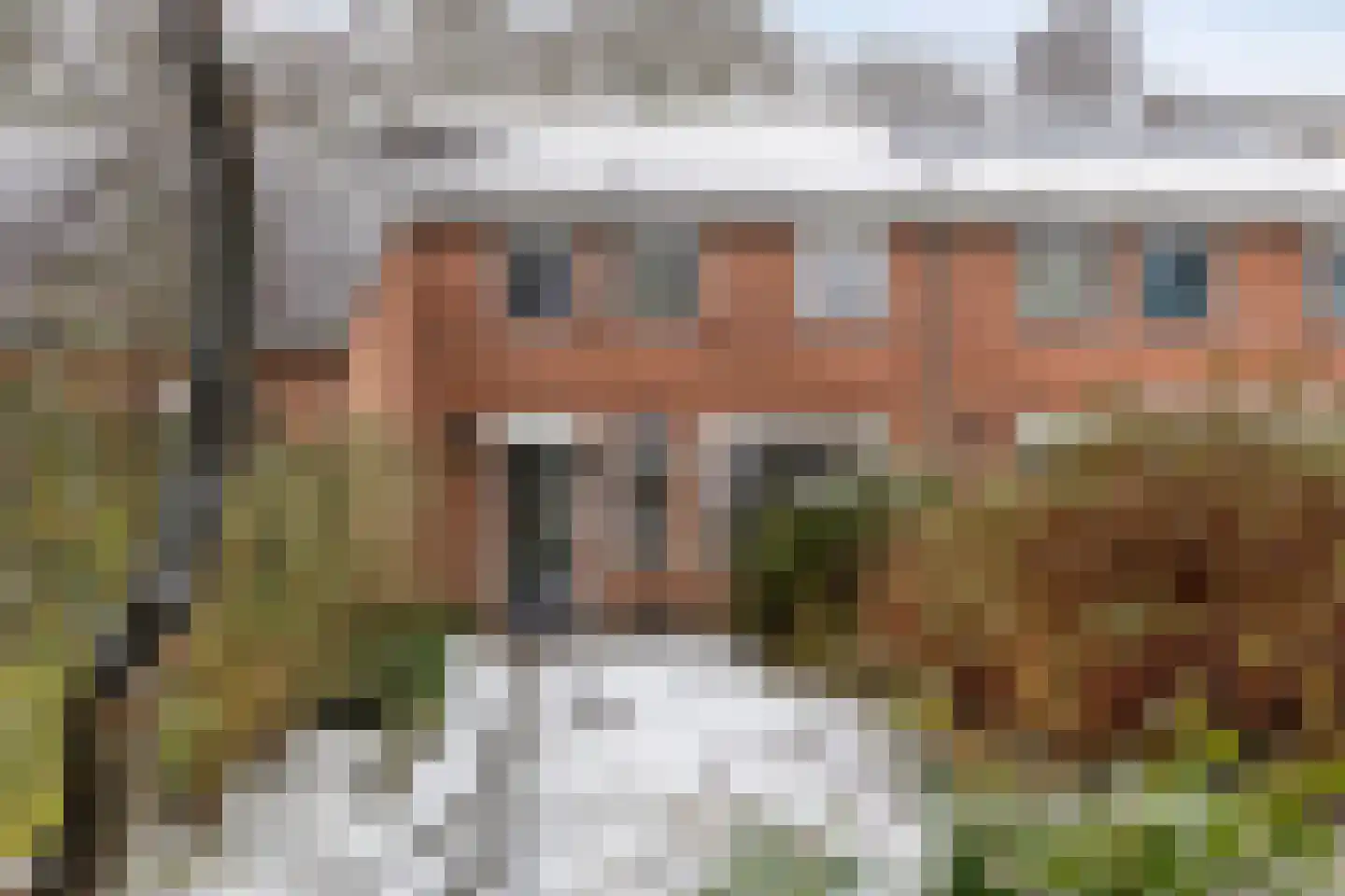 Laagveld 106 Haren Gn thumbnail 10
