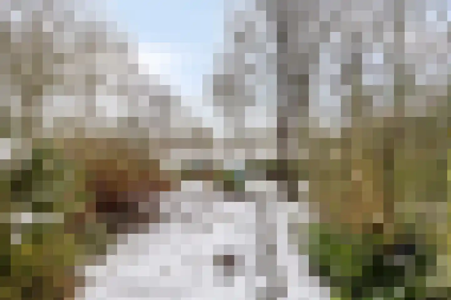 Laagveld 106 Haren Gn thumbnail 12