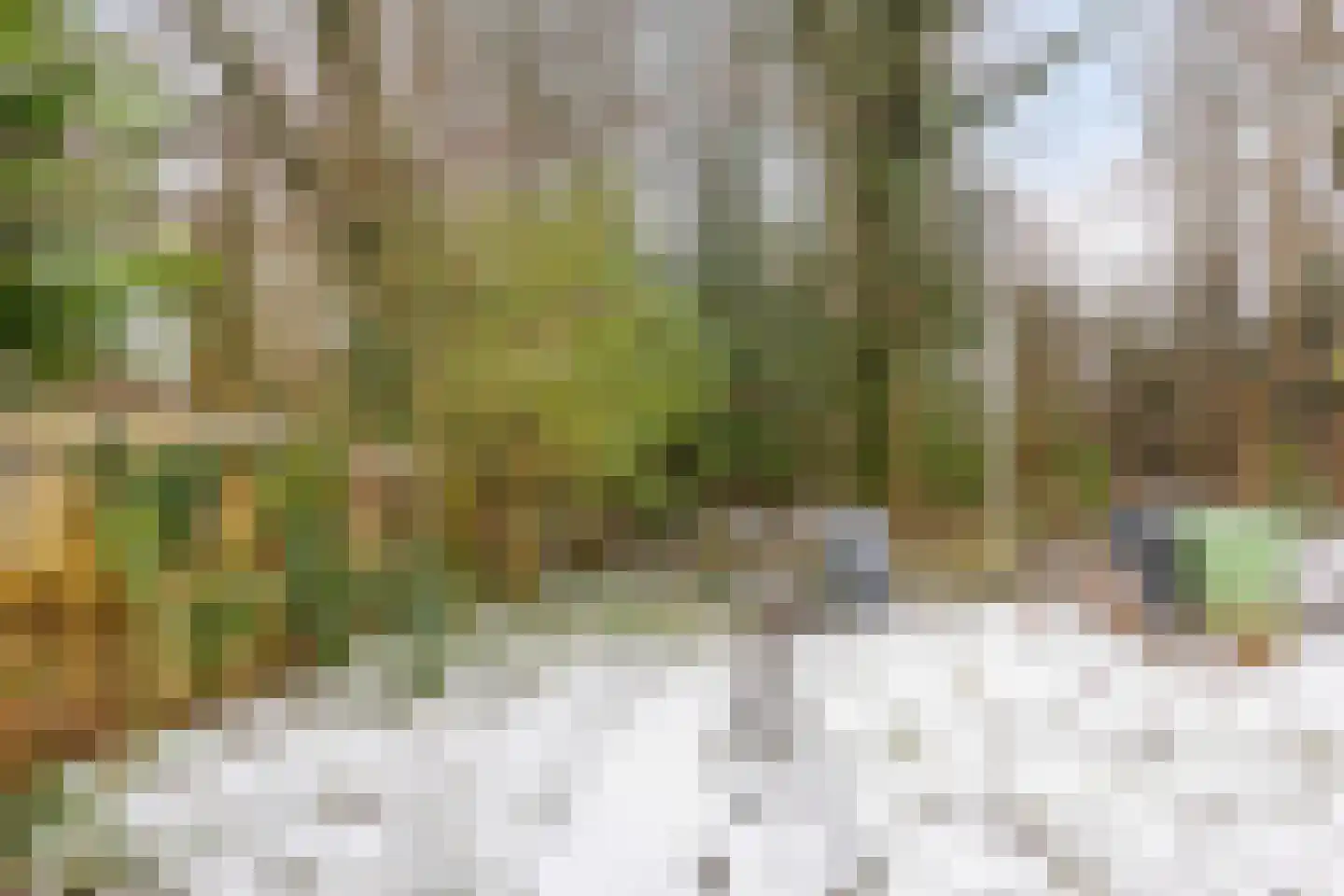 Laagveld 106 Haren Gn thumbnail 5