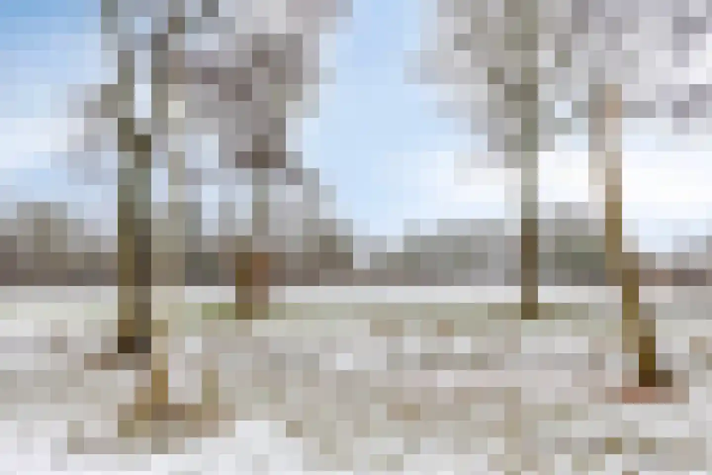 Laagveld 106 Haren Gn thumbnail 9