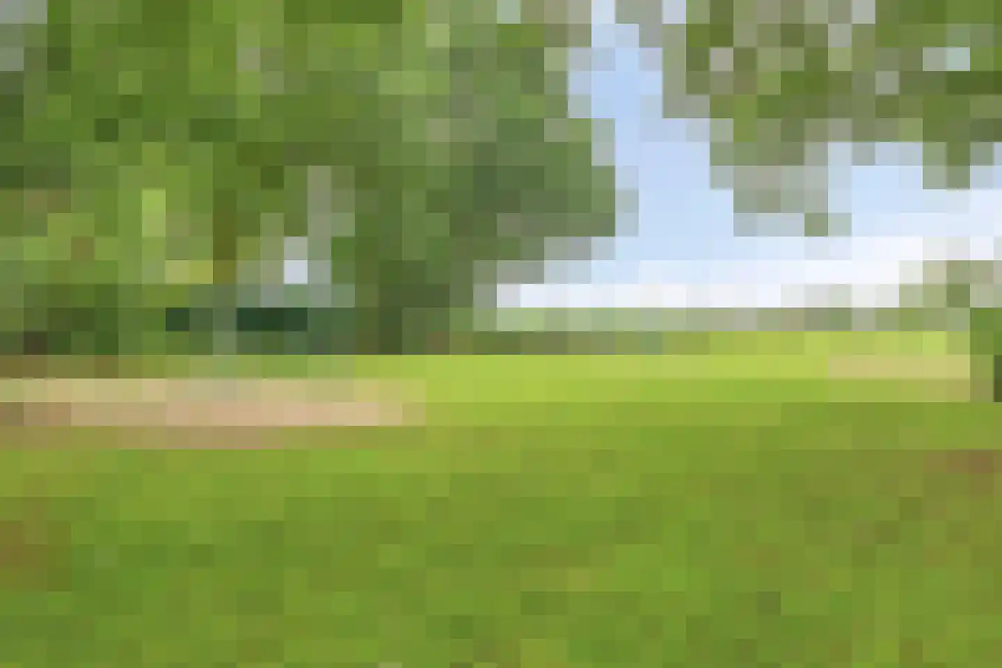 Laagveld 11 Boekel thumbnail 32
