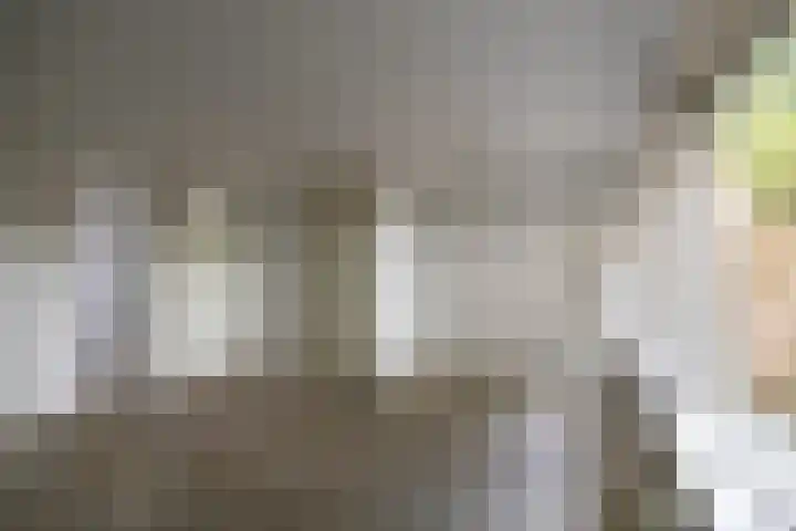 Laagveld 25 Haren Gn thumbnail 10