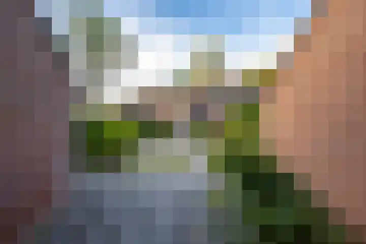 Laagveld 25 Haren Gn thumbnail 6