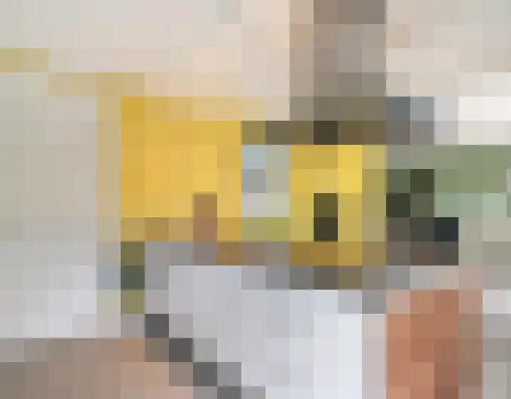 Laagveld 25 Nieuw-Vennep thumbnail 14