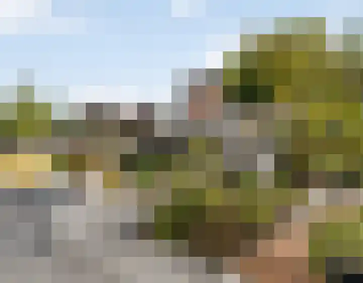 Laagveld 25 Nieuw-Vennep thumbnail 19