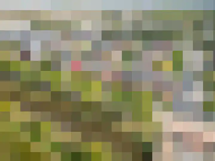 Laagveld 25 Nieuw-Vennep thumbnail 43