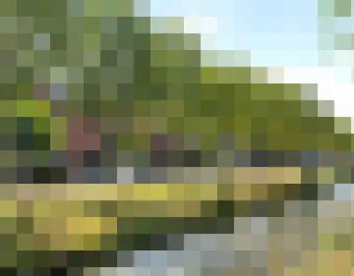 Laagveld 25 Nieuw-Vennep thumbnail 45