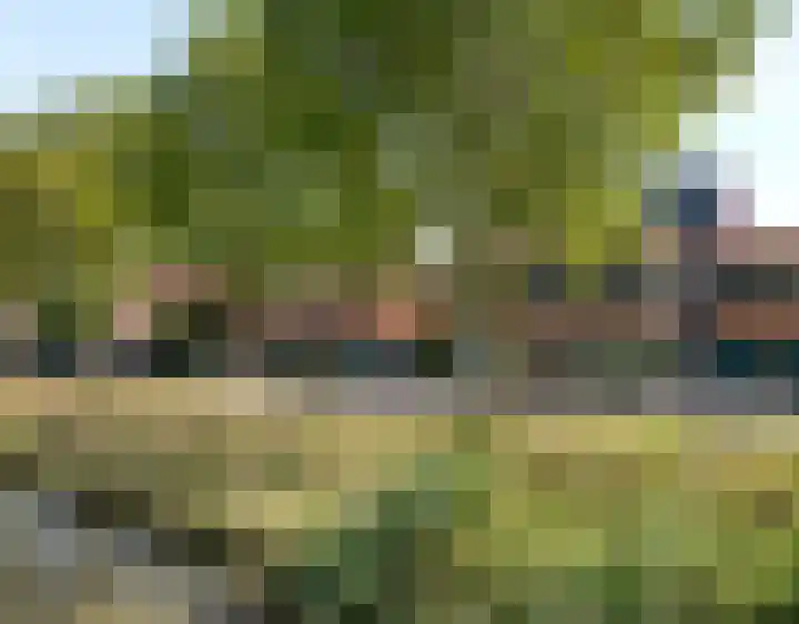 Laagveld 25 Nieuw-Vennep thumbnail 46
