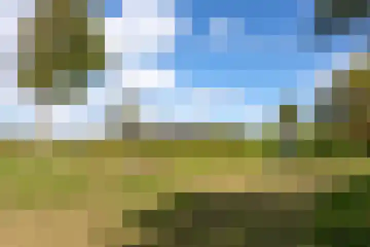 Laagveld 25 Nieuw-Vennep thumbnail 47