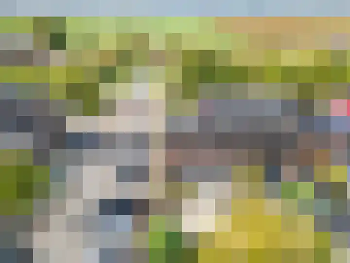 Laagveld 25 Nieuw-Vennep thumbnail 5