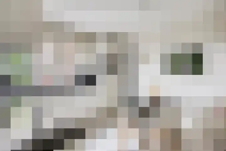 Laagveld 36 Boekel thumbnail 17