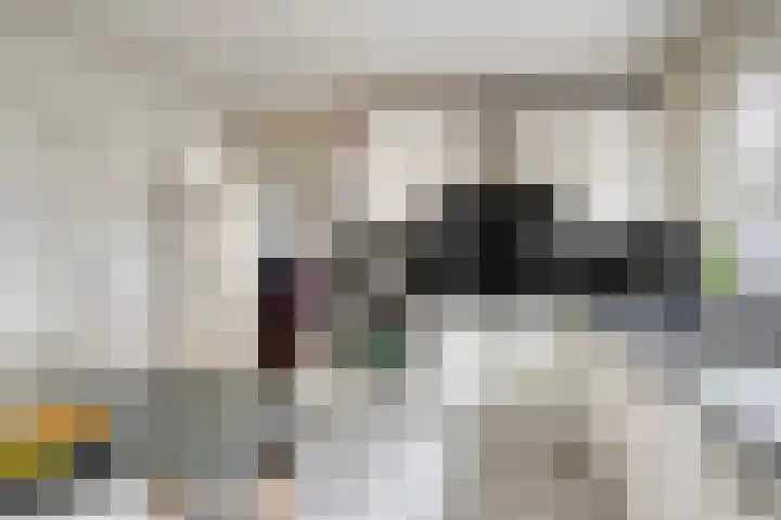 Laagveld 36 Boekel thumbnail 18