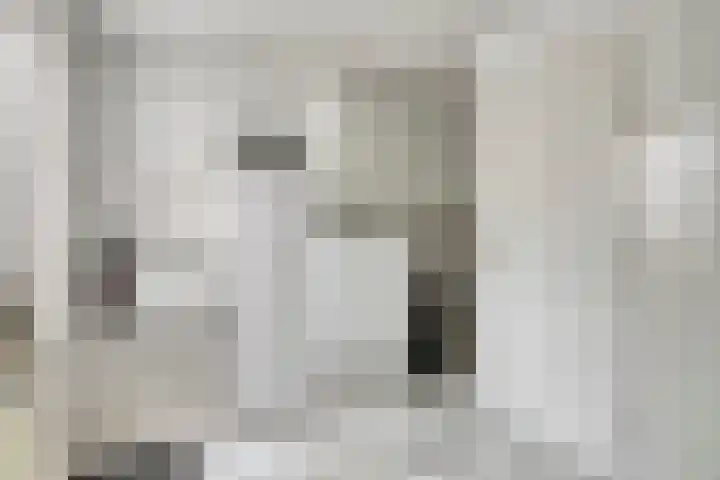 Laagveld 36 Boekel thumbnail 22