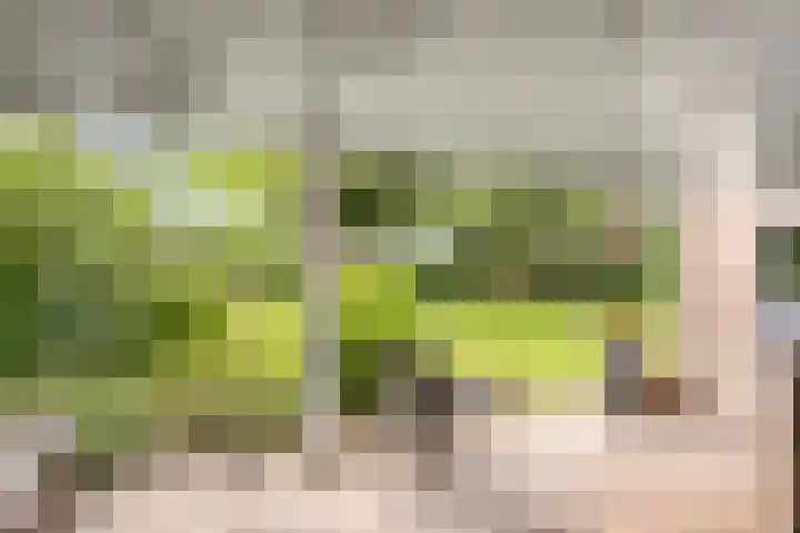 Laagveld 36 Boekel thumbnail 26